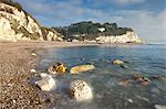 White cliffs at Beer, on the Jurassic Coast, UNESCO World Heritage Site, South Devon, England, United Kingdom, Europe