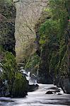 The Fairy Glen near Betws-y-Coed, Snowdonia National Park, Wales, United Kingdom, Europe