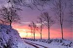 Snow covered country lane at dawn, Exmoor National Park, Somerset, England, United Kingdom, Europe