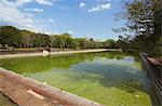 Ruines et Nedjma (Pool d'éléphant), Nord, Anuradhapura, Site du patrimoine mondial de l'UNESCO, Province centrale du Nord, Sri Lanka, Asie