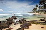 Pêcheur sur pilotis sur Dalawela beach, Province du Sud, Sri Lanka, Asie