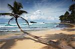 Dalawela Strand, der Südprovinz in Sri Lanka, Asien