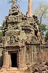 Ta Prohm, Angkor Archaeological Park, UNESCO World Heritage Site, Siem Reap, Cambodia, Indochina, Southeast Asia, Asia