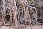 Ta Prohm, Angkor parc archéologique, patrimoine mondial de l'UNESCO, Siem Reap, Cambodge, Indochine, l'Asie du sud-est, Asie
