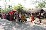 Drummers leading village bride under red canopy to her marriage ceremony in a procession with family and villagers, rural Orissa, India, Asia