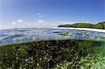 Half underwater split view of Coral Beach on Pigeon Island National Park, Trincomalee, Sri Lanka, Asia