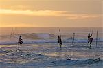 Pêcheurs sur pilotis à Weligama, côte sud, Sri Lanka, Asie