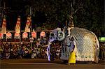 Ceremonial elephant in the Navam Maha Perahera, Colombo, Sri Lanka