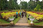 Visiteurs dans le Royal Botanical Garden, Peradeniya, Kandy, Sri Lanka, Asie