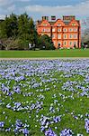 Gloire des fleurs de neige dans les pelouses près du Palais de Kew au printemps, Royal Botanic Gardens, Kew, patrimoine mondial de l'UNESCO, Londres, Royaume-Uni, Europe