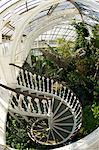 Escalier en colimaçon dans la maison tempérée Royal Botanic Gardens, Kew, patrimoine mondial de l'UNESCO, Londres, Royaume-Uni, Europe
