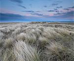 Crépuscule sur les dunes de la réserve naturelle de Holme, Norfolk, Angleterre