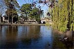 La rivière Wye, Bakewell, Derbyshire, Angleterre, Royaume-Uni, Europe