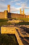 Ruines de Sainte-Marie sur la roche et la cathédrale, St Andrews, Fife, Écosse