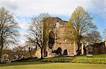Château de Knaresborough motifs, Knaresborough, North Yorkshire, Angleterre