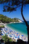 Lemonakia Beach, près de Kokkari, Samos, îles de l'Égée, Grèce