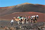 Dromedary ride on slopes of Timanfaya mountain, Timanfaya National Park, Lanzarote, Canary Islands, Spain, Europe