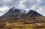 Single small cottage and Buachaille Etive Mor, Rannoch Moor, Glencoe, Highland Region, Scotland