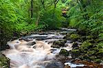 Ingleton, chutes d'eau, rivière Twiss, Ingleton, Yorkshire Dales, Yorkshire, Angleterre, Royaume-Uni, Europe