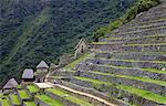 Agricultural Terrassen, Machu Picchu, Peru, Peru, Südamerika, südamerikanische, Lateinamerika, Lateinamerika, Südamerika. Die verlorene Stadt der Inkas wurde von Hiram Bingham 1911 wiederentdeckt.