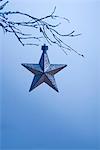 Star-shaped Christmas ornament hanging from branch