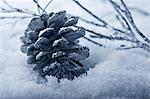 Pine cone Christmas ornament in snow