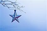 Star-shaped Christmas ornament hanging from branch