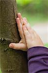 Toddler's hands touching tree trunk, cropped