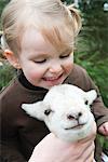 Little girl petting lamb