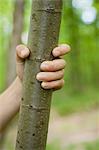 Child's hand gripping tree trunk, cropped