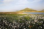 Landmannalaugar, Iceland