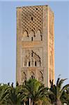 Tour Hassan, Rabat, Maroc