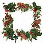 Winter and christmas decorative border of holly, ivy, mistletoe, cedar leaf sprigs and pine cones over white background.