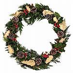 Christmas decorative wreath of natural and golden oak and holly, ivy, mistletoe, cedar leyland leaf sprigs, pine cones over white background.
