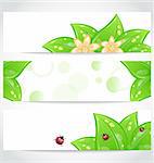 Illustration set of bio concept design eco friendly banners (2) - vector