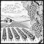 Retro vineyard landscape in woodcut style. Black and white vector illustration with clipping mask.