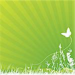 Butterfly and Meadow - Background Illustration, Vector