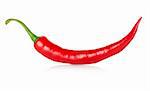 Hot chili pepper isolated on a white background