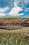 Riverbank on a clear day showing cross section of the earth with roots and layers of dirt