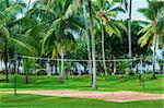 Tropical vacation resort with volleyball court, palm trees and green grass. Focus on the net.
