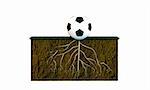 soccer ball with big roots on a soccer field isolated on white background