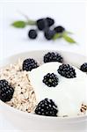 Oatmeal with yogurt and fresh organic blackberries. Shallow DOF
