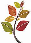 Branch of colorful fall leaves isolated on white background. Vector illustration