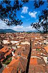 Vue sur la ville depuis la Tour Guinigi, Lucca, Toscane, Italie