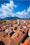 Vue d'ensemble de la ville, Lucca, Toscane, Italie