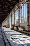 Arcade in Camposanto Monumentale, Piazza del Duomo, Pisa, Tuscany, Italy