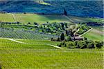 Panzano in Chianti, Chianti, Toscane, Italie