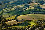 Terres agricoles, Radda in Chianti, Toscane, Italie