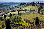 Overview of Countryside Surrounding San Gimignano, Siena Province, Tuscany, Italy