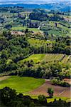 Vue d'ensemble des terres agricoles, San Miniato, Province de Pise, Toscane, Italie